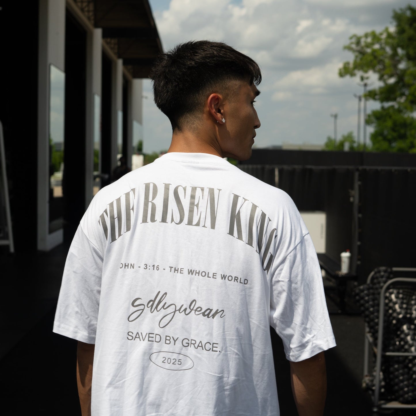 THE RISEN KING