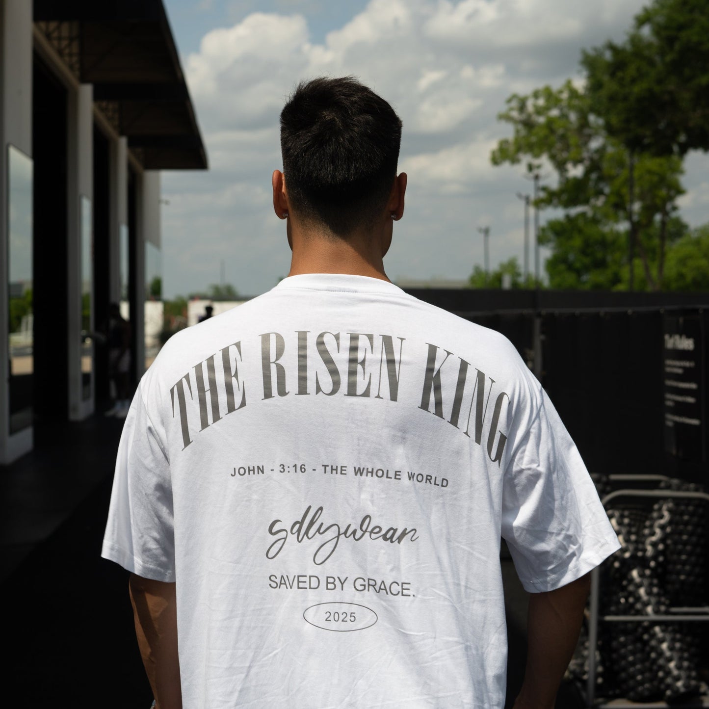 THE RISEN KING