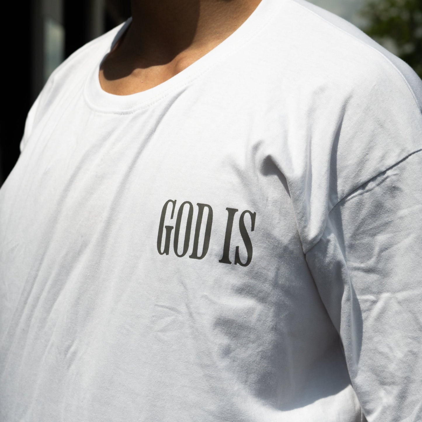 THE RISEN KING