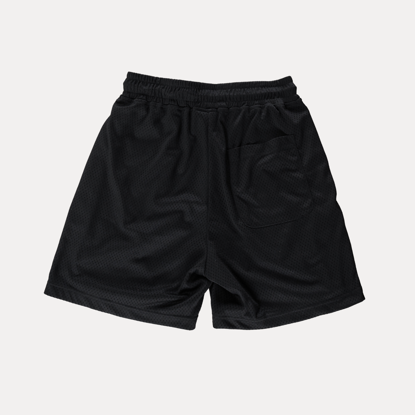 Grateful Mesh Shorts