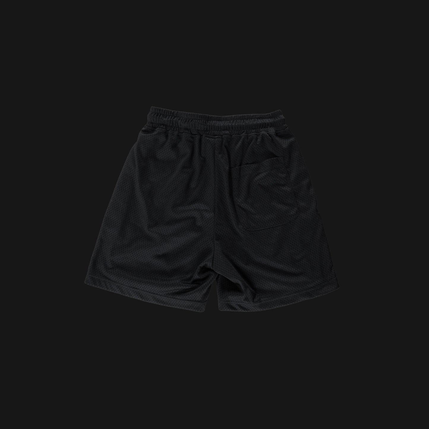 Grateful Mesh Shorts