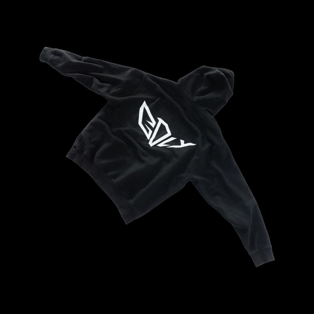 sacred flight hoodie